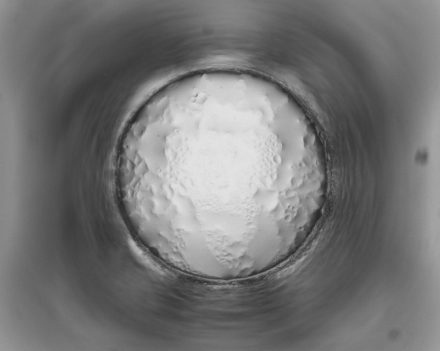 X0000097301421200803071743