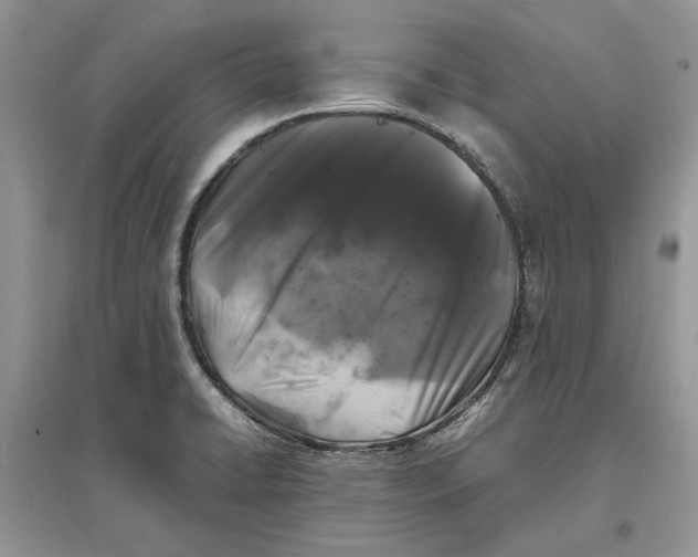 X0000097301422200803071743