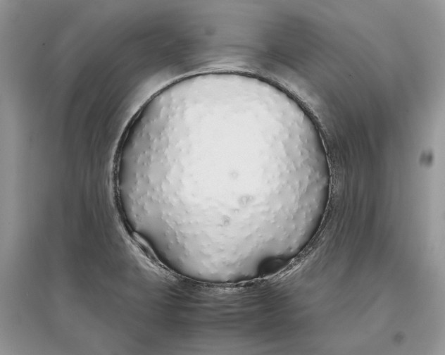 X0000097301423200803071743