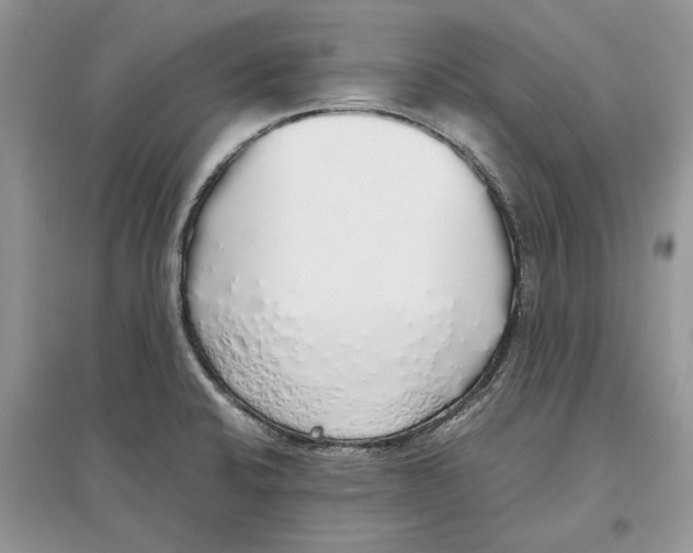 X0000097301424200803071743