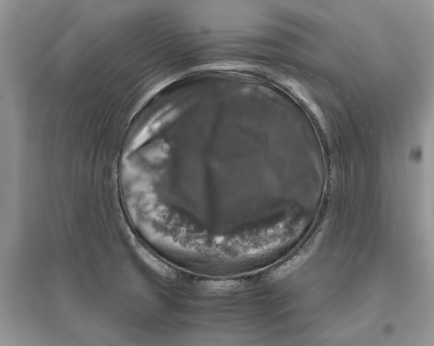 X0000097301425200803071743