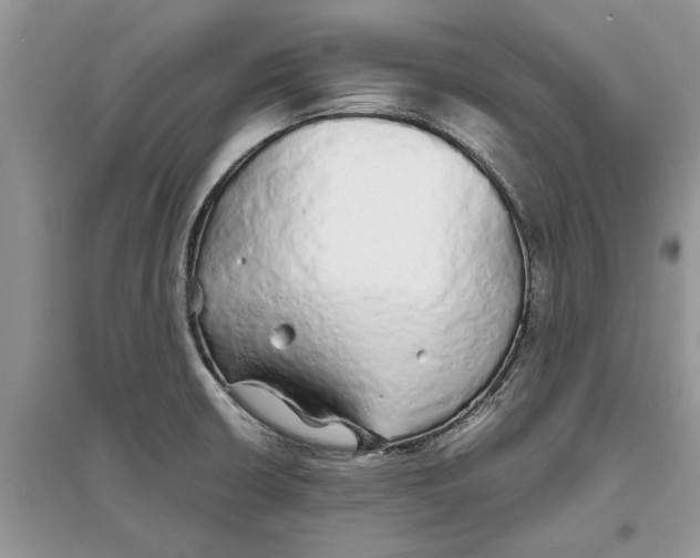 X0000097301426200803071743