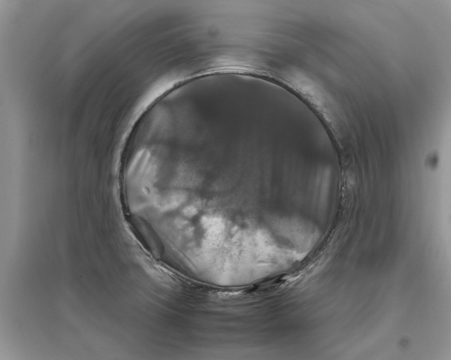 X0000097301427200803071743