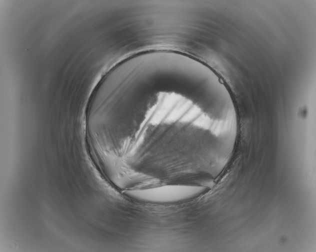 X0000097301428200803071743