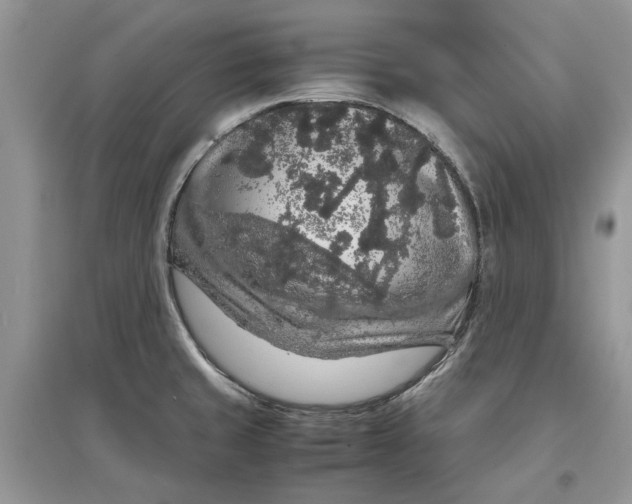 X0000097301429200803071743