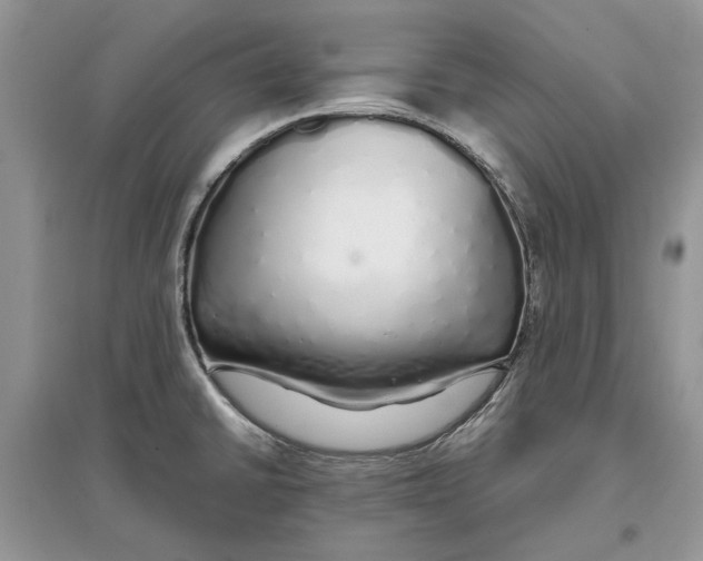 X0000097301430200803071743