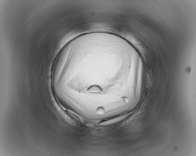 X0000097301431200803071743