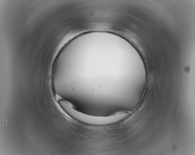 X0000097301432200803071743