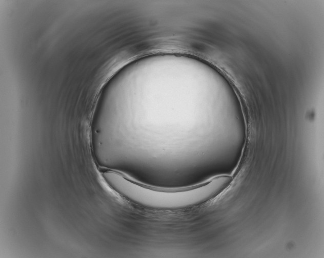 X0000097301433200803071743