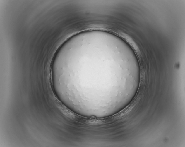 X0000097301435200803071743