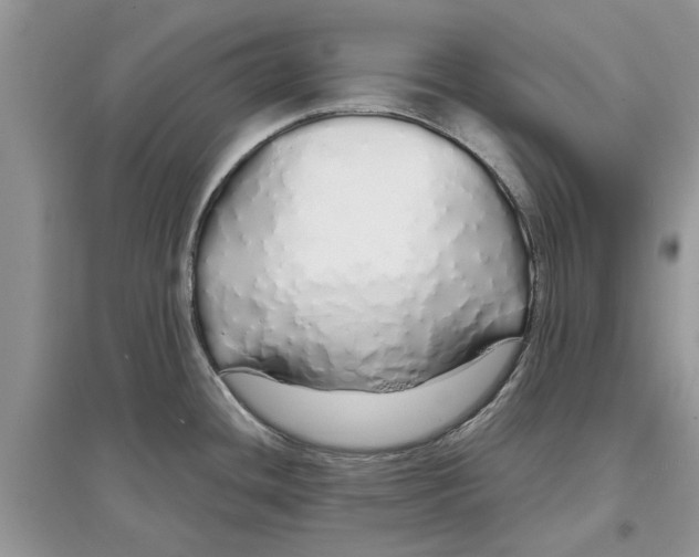 X0000097301436200803071743