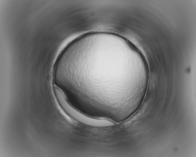 X0000097301437200803071743