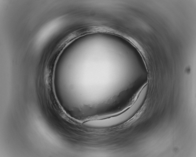 X0000097301438200803071743