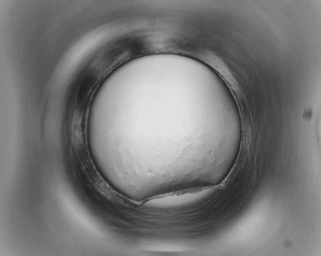 X0000097301439200803071743