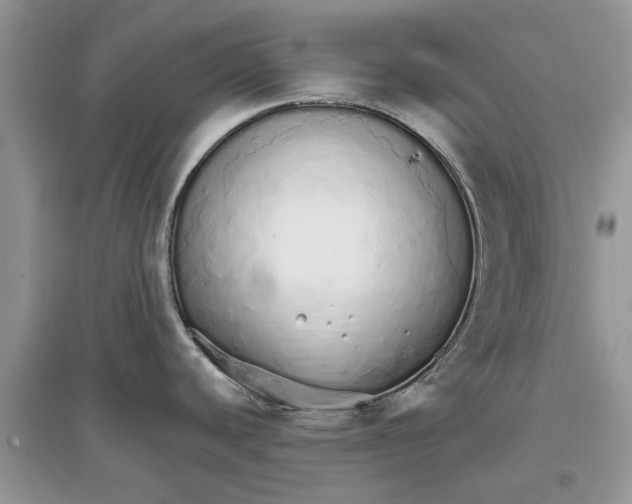 X0000097301440200803071743