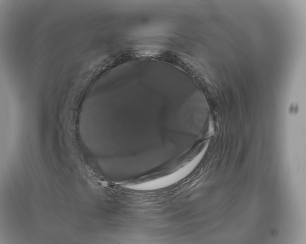 X0000097301441200803071743