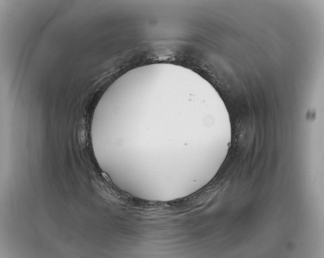 X0000097301442200803071743