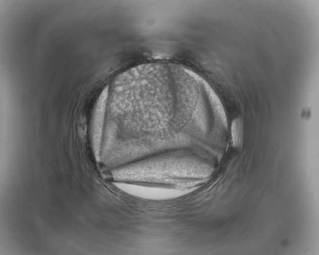 X0000097301443200803071743