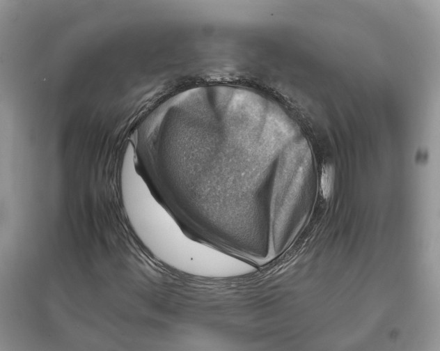 X0000097301444200803071743