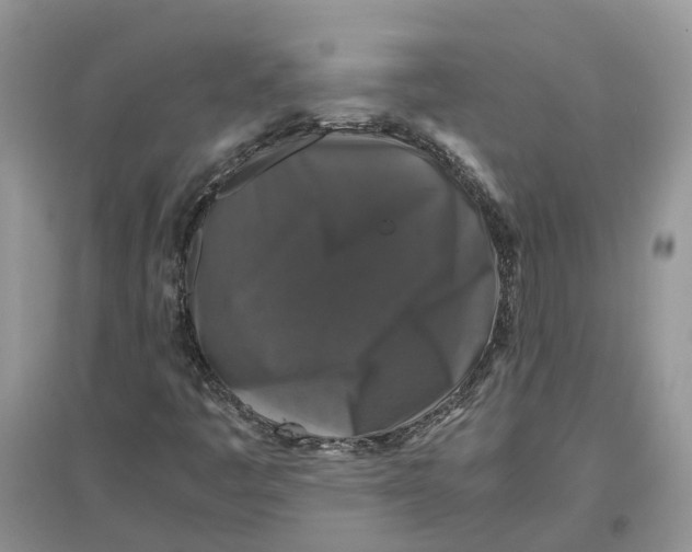 X0000097301445200803071743