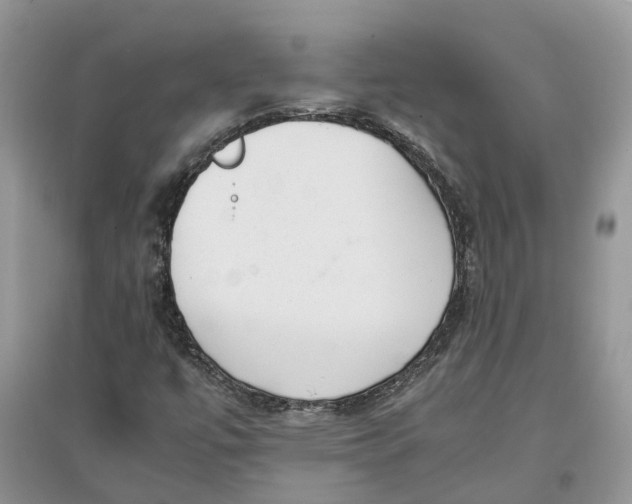 X0000097301447200803071743