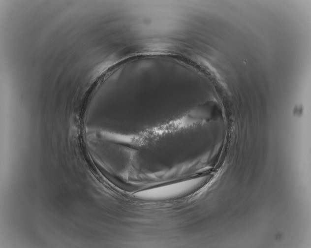 X0000097301449200803071743