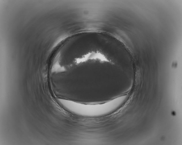 X0000097301450200803071743