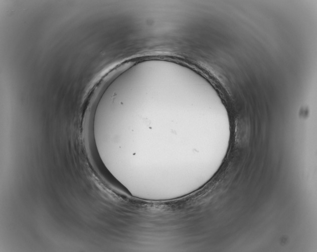 X0000097301452200803071743