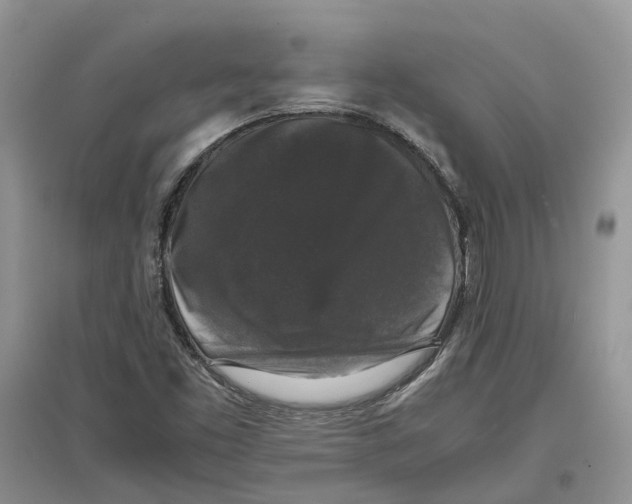 X0000097301453200803071743