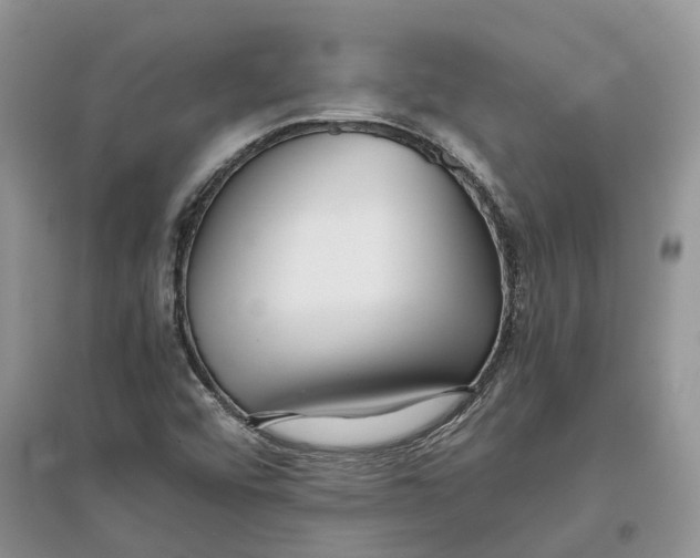 X0000097301456200803071743