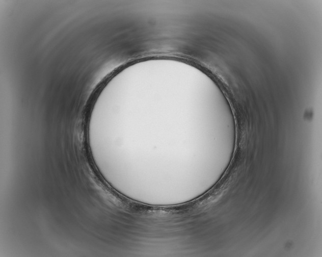 X0000097301458200803071743