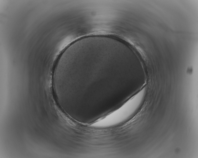 X0000097301459200803071743