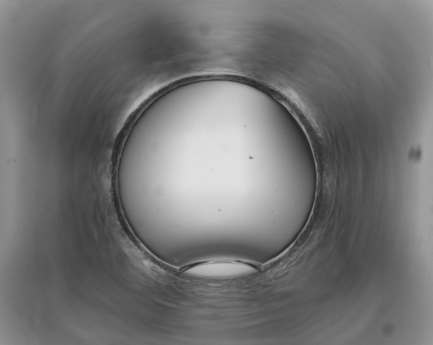 X0000097301460200803071743