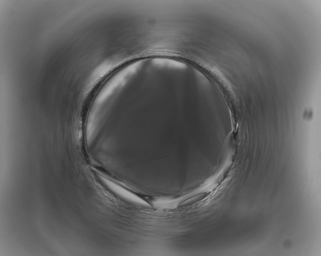 X0000097301461200803071743