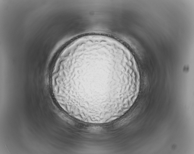 X0000097301462200803071743