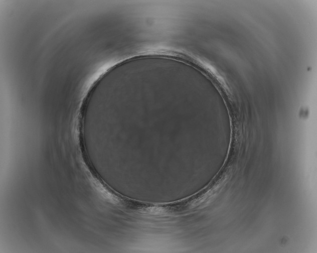 X0000097301463200803071743