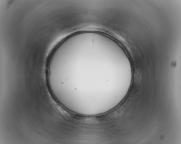 X0000097301464200803071743