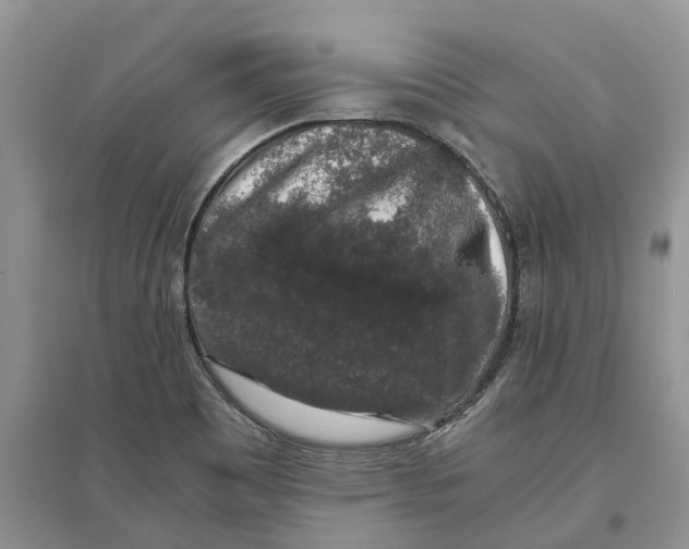 X0000097301465200803071743