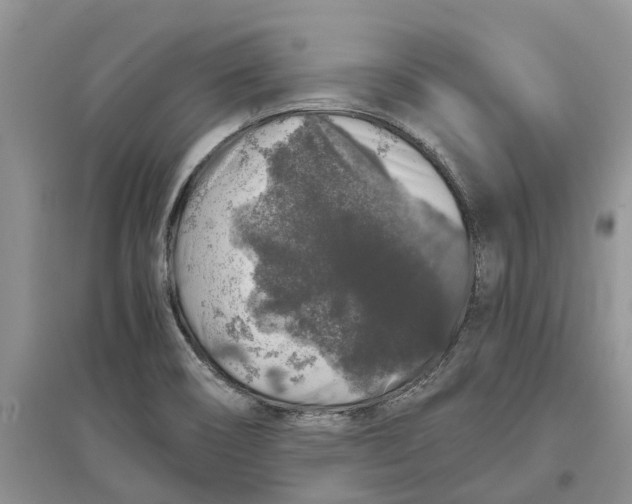 X0000097301466200803071742