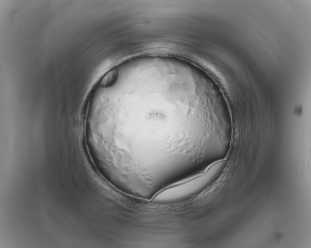 X0000097301467200803071742