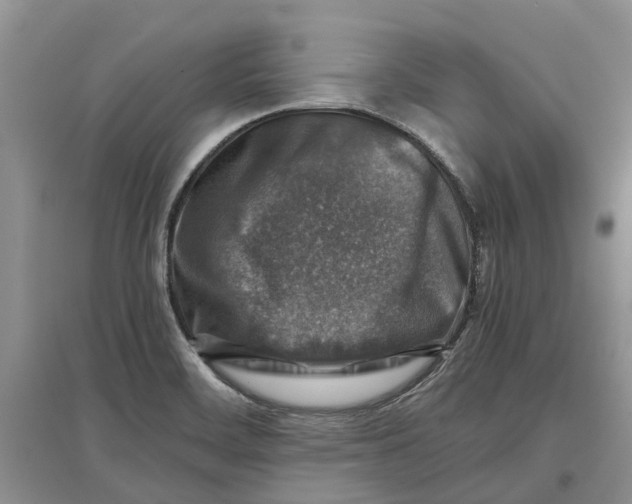 X0000097301468200803071742