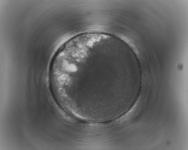 X0000097301469200803071742