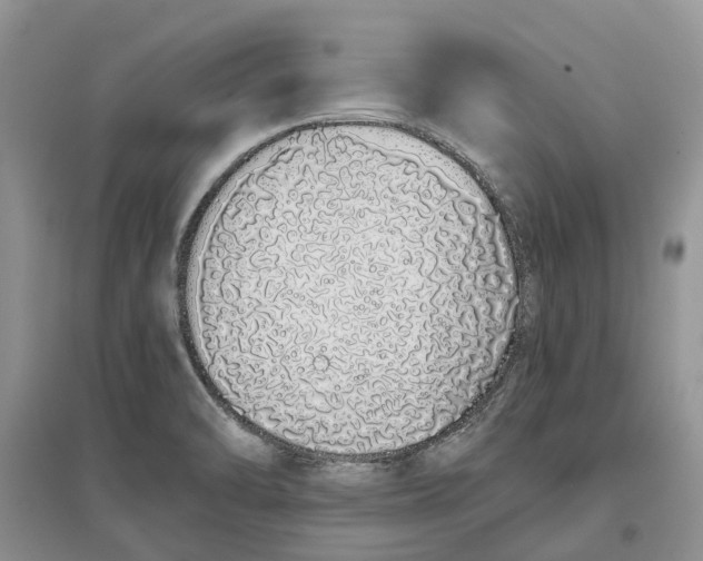 X0000097301470200803071742