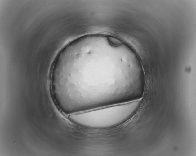 X0000097301471200803071742