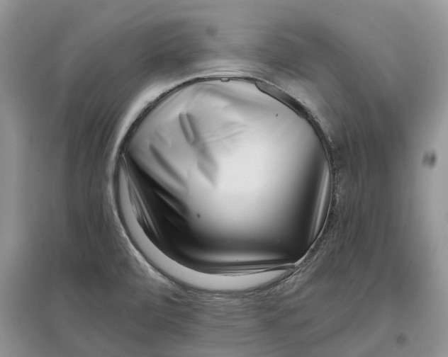 X0000097301472200803071742