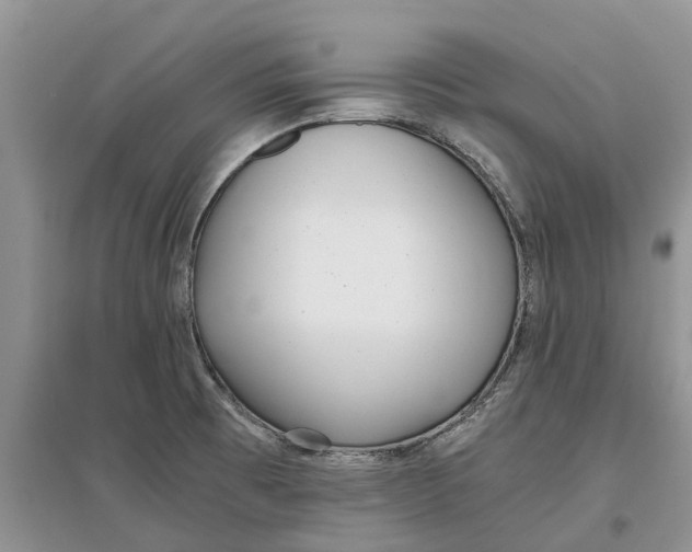 X0000097301473200803071742