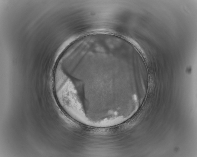 X0000097301474200803071742