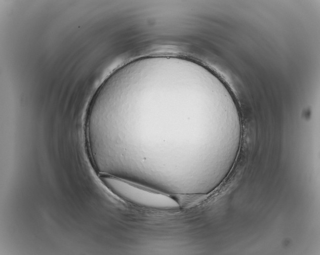 X0000097301475200803071742