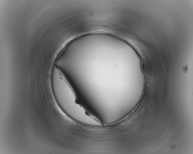 X0000097301476200803071742