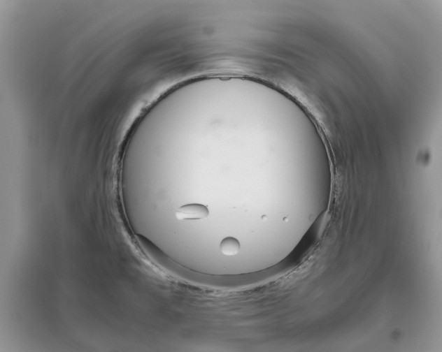 X0000097301477200803071742